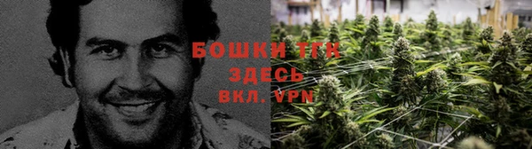 круглые Аркадак