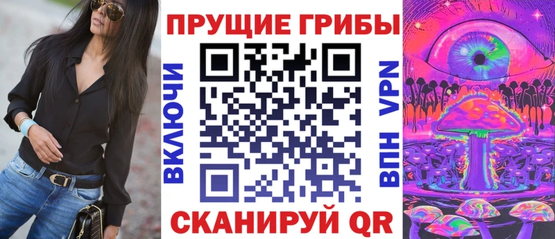 кракен ССЫЛКА  Партизанск  Галлюциногенные грибы Psilocybe 