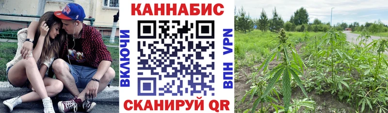 купить  цена  Партизанск  Канабис сатива 